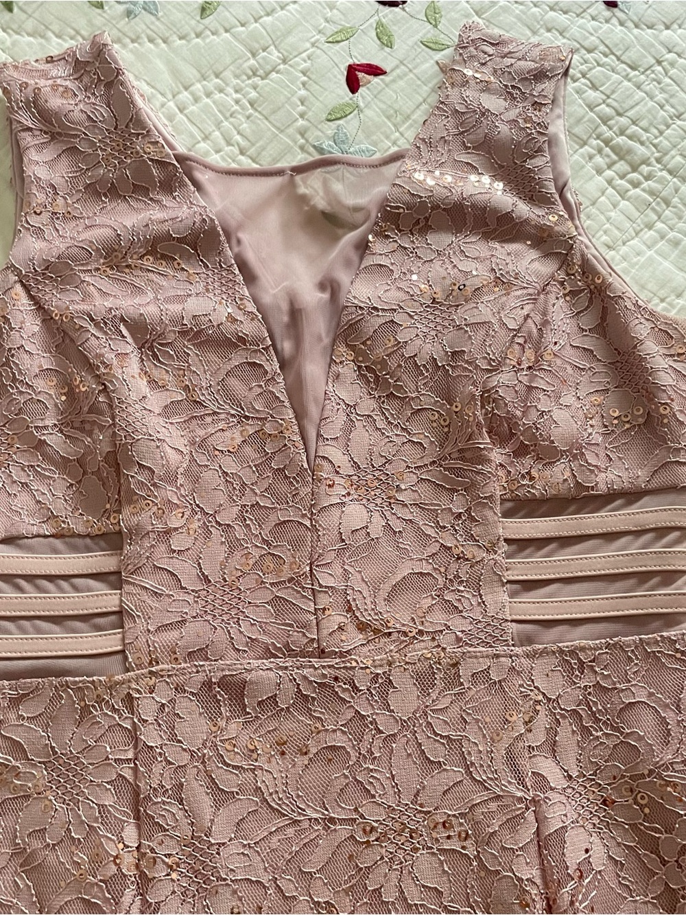 Enfocus Studio Blush Pink Lace V-Neck Dress